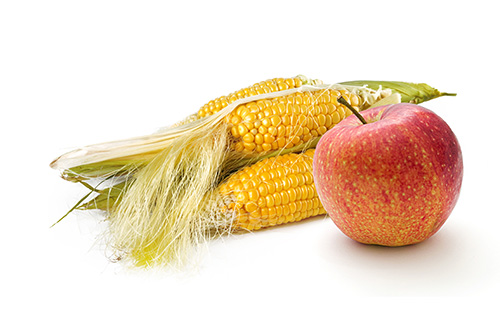 Apple and Corn on the Cob
